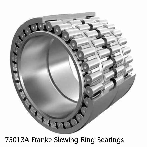 75013A Franke Slewing Ring Bearings