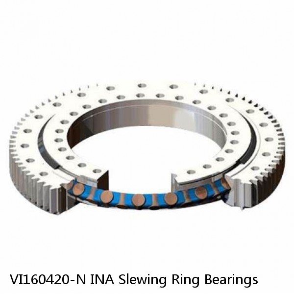 VI160420-N INA Slewing Ring Bearings