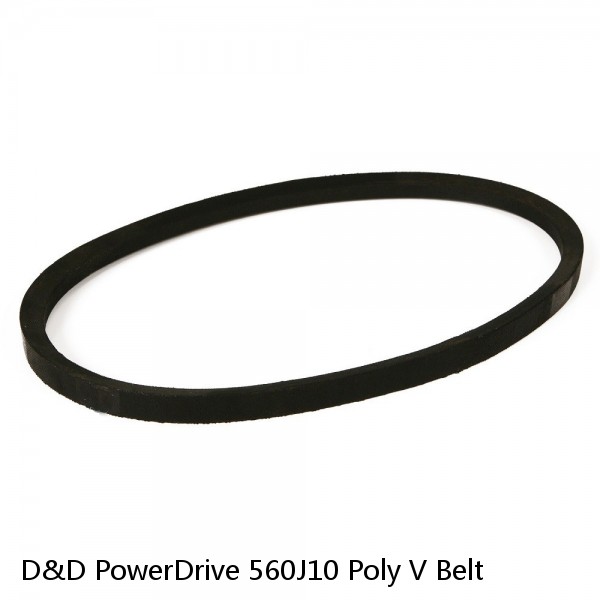 D&D PowerDrive 560J10 Poly V Belt 