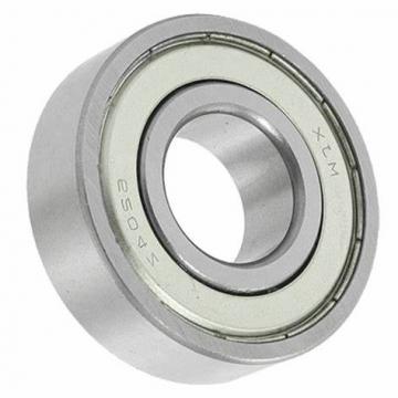 P6 Motor Automotive Motorcycle Parts Deep Groove Ball Bearing (6204Z)
