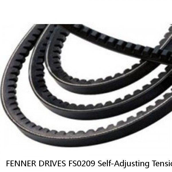 FENNER DRIVES FS0209 Self-Adjusting Tensioner,V-Belt B,5 In